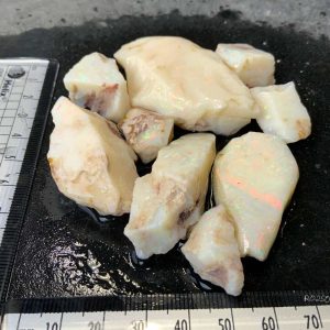R0250